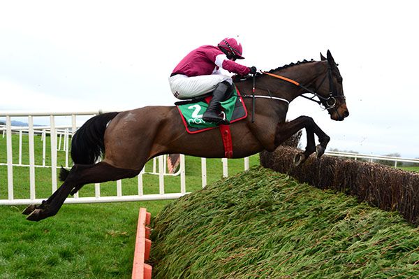 Another stylish leap from Ball D'Arc under Bryan Cooper