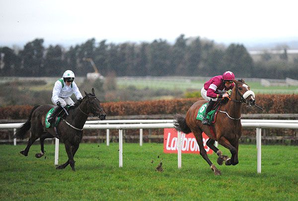 Poli Roi and Jamie Codd race on from Impact Factor and Katie Walsh