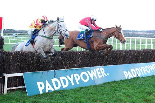 Grey horse Mick The Jiver (David Splaine up) jumps the last with Cappacurry Zak