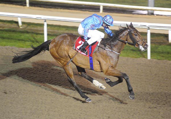 Circus Ring gets off the mark in Dundalk
