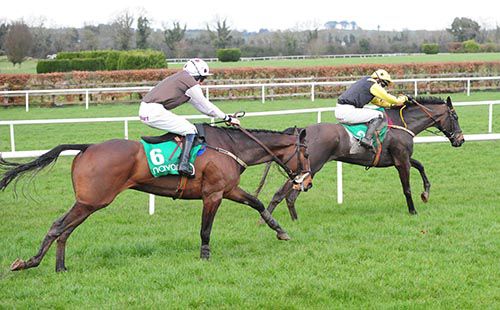 Suas Sios is two lengths behind Crosshue Boy after the last