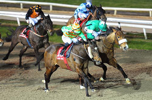 Ken's Sam's (Shane Foley) beats Your Pal Tal (Donagh  O'Connor)