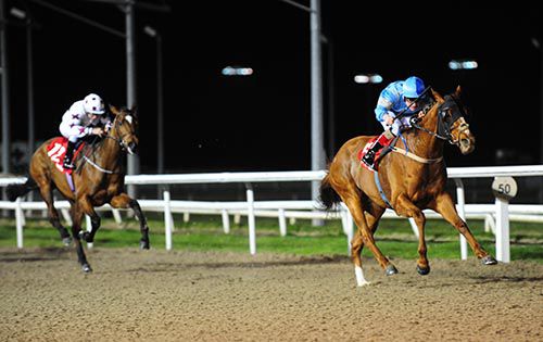 Free State (Gary Halpin) accounts for Any Time in the Dundalk finale