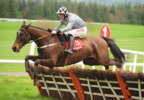 Castlegrace  Paddy and  Davy Russell
