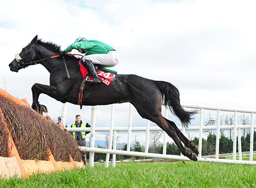 Donegal Tuesday and Dylan  Robinson