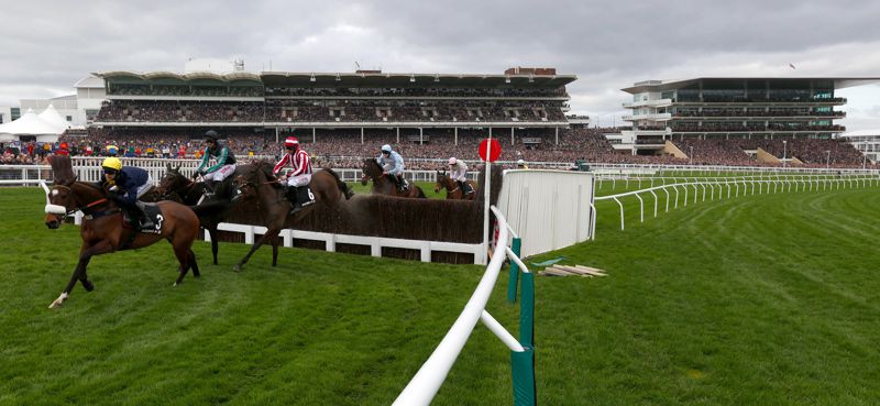Cheltenham action