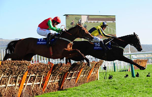 Willoughby Court leads Neon Wolf  home