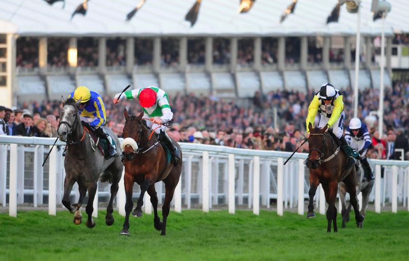 Fayonagh came out of the clouds to beat Debuchet (grey) at Cheltenham