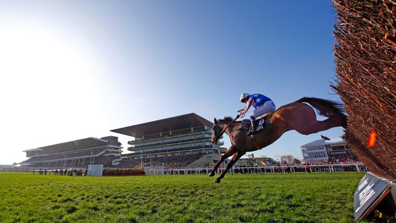 Special Tiara at Cheltenham