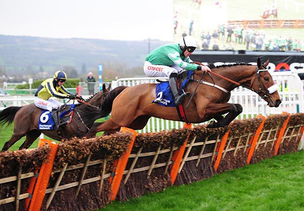 Barney Dwan (partially hidden) finished second to Presenting Percy in the Pertemps Final at Cheltenham last year