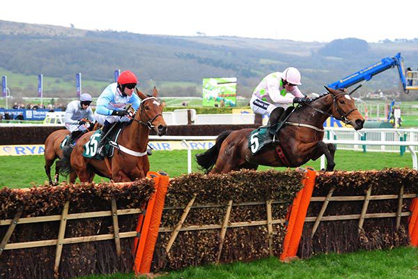 Let's Dance heads for home under Ruby Walsh