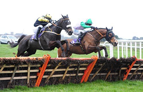Crosshue Boy (nearest) jumps the last alongside Camlann
