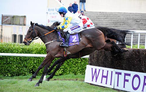 Capture The Drama and Andrew Ring pictured on their way to victory