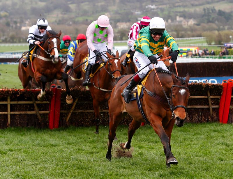 Defi Du Seuil winning the JCB Triumph Hurdle at Cheltenham
