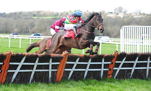 Shes Flat Tothemat jumps the last under Barry John Foley