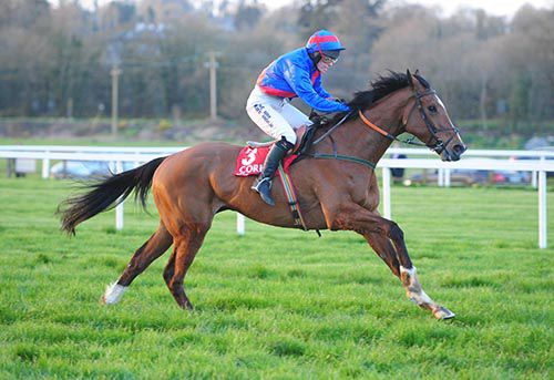 Catwalk King easily wins under Liz Lalor