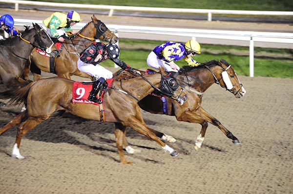 Denis Linehan keeps Lily's Prince going in front