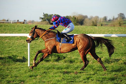 Coldamour and Katie Walsh