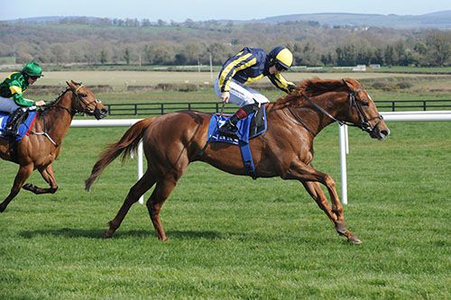 Gymkhana and  Colin Keane