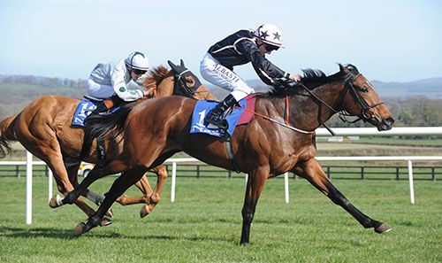 Gino Severini (Chris Hayes) provides Fozzy Stack with his first winner