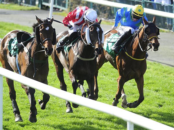 Left to right Love Rory (loose), Anseanachai Cliste (Dylan Robinson, winner) and Tulsa  Jack (Sean Flanagan)