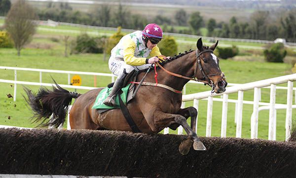 Champagne Harmony and Paul Townend