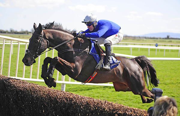 Woodland Opera pictured in action over fences