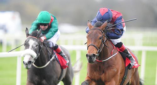 Angel Island, right, sees off Dabulena in Cork