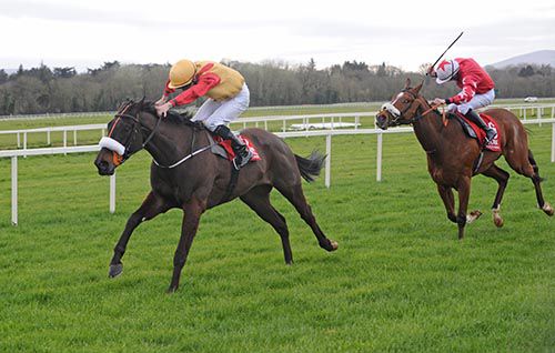 Make It Hurrah rounds off a great day for Jessica Harrington