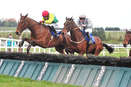 Sizinguptheamazon and Mark Enright lead from Babytaggle and Eamonn Corbett