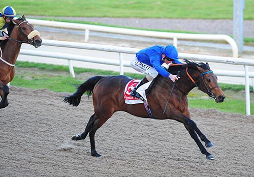 Saafarr and Kevin Manning