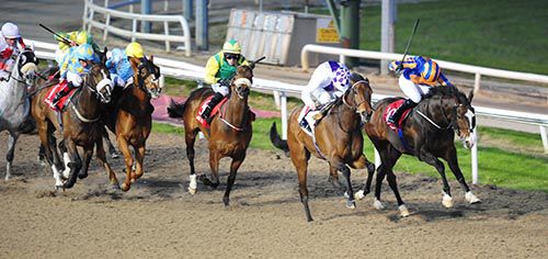 White and purple silks Kevin Manning got Ringside  Humour home in front from Ligeti