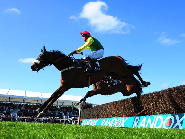 Betfair Tingle Creek Chase favourite Fox Norton