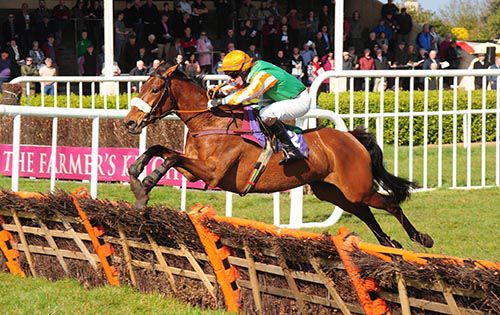 Tellthemnuttin and Dylan Robinson