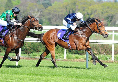 Rekindling and Wayne Lordan