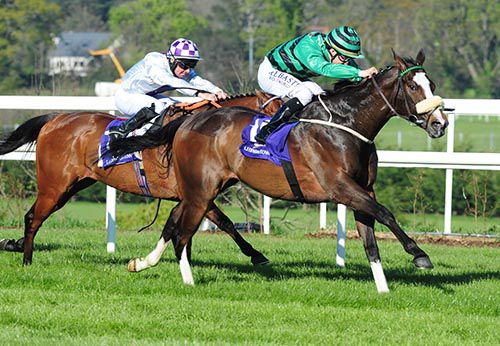 Katiymann and Shane Foley