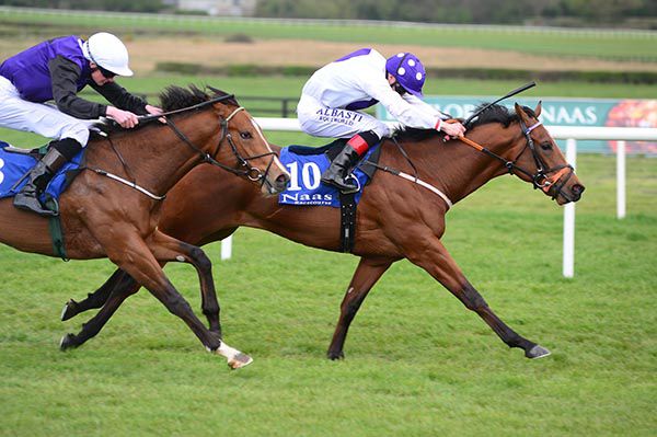 T For Tango and Pat Smullen fend off Guessthebill and Connor King