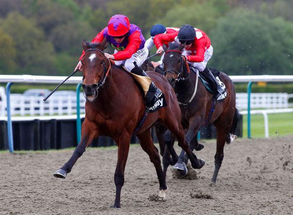 Convey wins under Ryan Moore