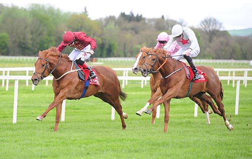 Gold Spinner beats Born To Play 