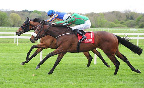 Caherdaniel (nearest) beats Pocketfullofdreams 