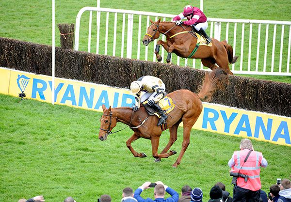 Road To Respect, far side, comes through to beat Yorkhill
