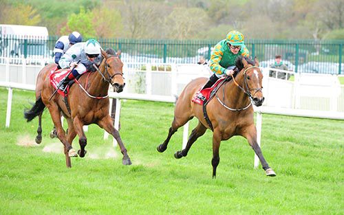 Florida Times (inside) leads home Court Queen