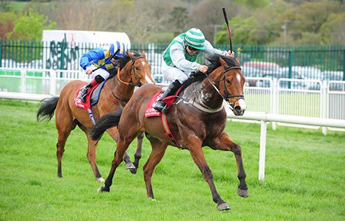 Primo Uomo is ridden out by Niall McCullagh