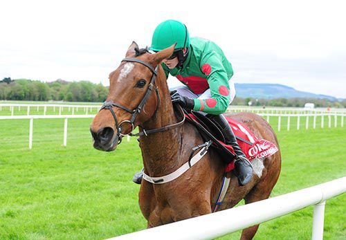 Little Misshamrock pictured on her way to victory under Liam Quinlan