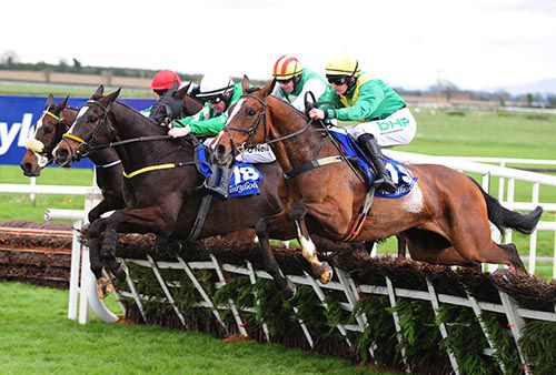 Showem Silver (No.18) about to touch down in front over the last