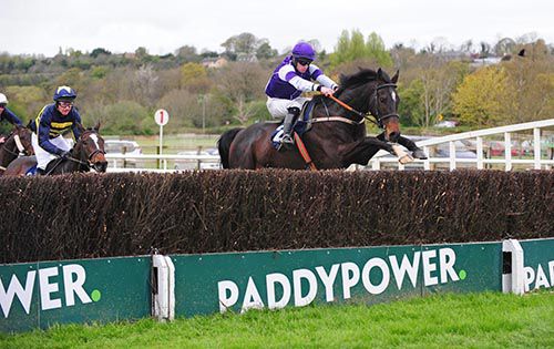 Black Scorpion clears the last under Ray Barron