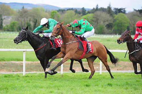 Double Portrait (nearest) comes through to head Smithscorner