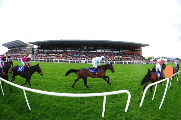 Fairyhouse