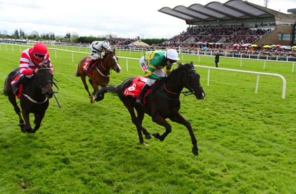 Project Bluebook winning at Fairyhouse on Monday
