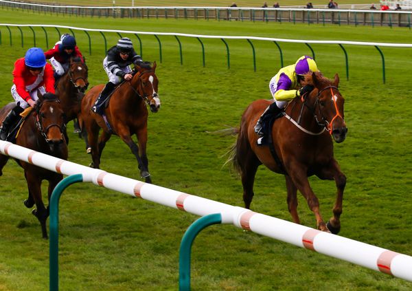 Brando seen here winning from Ornate and Windfast